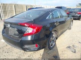HONDA CIVIC LX 2HGFC2F53HH517527 снимка