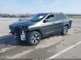 JEEP CHEROKEE TRAILHAWK 1C4PJMBS7GW130981 снимка