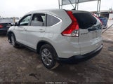HONDA CR-V EX-L 5J6RM4H70EL064236 снимка