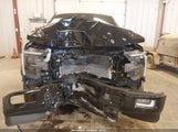 FORD F-150 PLATINUM 1FTFW7LDXSFA09871 снимка