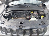 Jeep Compass Trailhawk 4X4 3C4NJDDB7JT451646 снимка
