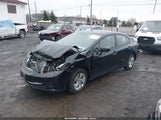 HONDA CIVIC LX 19XFB2F55FE296331 fotografie