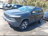 JEEP CHEROKEE TRAILHAWK 1C4PJMBB6EW162303 снимка