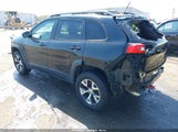JEEP CHEROKEE TRAILHAWK 1C4PJMBB6EW162303 снимка