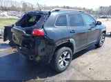JEEP CHEROKEE TRAILHAWK 1C4PJMBB6EW162303 снимка