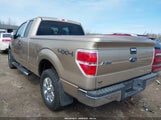 FORD F-150 XLT 1FTFX1EF0BFB59450 fotografie