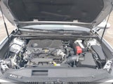 TOYOTA CAMRY LE 4T1B11HK9KU851075 photo