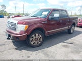 FORD F-150 FX4/KING RANCH/LARIAT/PLATINUM/XL/XLT 1FTPW14V09FB41119 fotografie