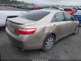 TOYOTA CAMRY XLE V6 4T1BK46K07U023408 photo