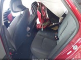 Miniaturka zdjęcia 8