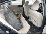 HONDA ACCORD LX 1HGCR2F38DA249874 снимка