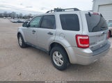 FORD ESCAPE XLT 1FMCU9D72BKB26439 снимка