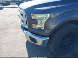 FORD F-150 XLT 1FTEW1CFXHFA11591 снимка