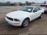 FORD MUSTANG 1ZVFT84N055216895 снимка
