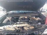 CHEVROLET COLORADO 4WD SHORT BOX ZR2 1GCPTEE10M1206441 fotografie