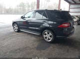 MERCEDES-BENZ ML 350 4MATIC 4JGDA5HB2EA362815 снимка