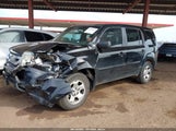 HONDA PILOT LX 5FNYF4H22AB008201 fotografie