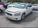 NISSAN MAXIMA 3.5 S 1N4AA5AP8CC805828 снимка