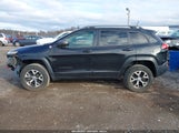 JEEP CHEROKEE TRAILHAWK 1C4PJMBB5GW132003 fotografie