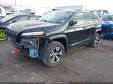 JEEP CHEROKEE TRAILHAWK 1C4PJMBB5GW132003 fotografie