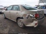 TOYOTA COROLLA XLE 1NXBU40E79Z010087 снимка