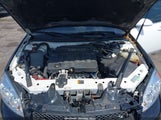 CHEVROLET IMPALA POLICE 2G1WD5E31C1161764 снимка