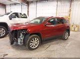 JEEP CHEROKEE LIMITED 1C4PJMDS6EW189756 снимка