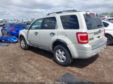 FORD ESCAPE XLT 1FMCU03Z78KB36259 снимка