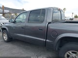 DODGE DAKOTA SLT 1D7HL48N93S190381 снимка