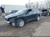 JEEP CHEROKEE LATITUDE 1C4PJMCS0EW264288 снимка