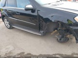 MERCEDES-BENZ ML 350 4JGBB5GB2AA605104 снимка