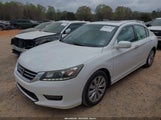 HONDA ACCORD EX-L V-6 1HGCR3F82EA013515 fotografie