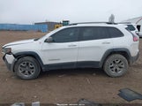 JEEP CHEROKEE TRAILHAWK 4X4 1C4PJMBX1KD476881 снимка