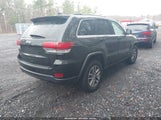 JEEP GRAND CHEROKEE LAREDO X 4X4 1C4RJFAGXMC650672 fotografie