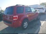 FORD ESCAPE XLT 1FMCU0D75AKA53111 fotografie