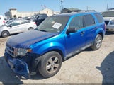 FORD ESCAPE XLT 1FMCU0DG4CKB30828 fotografie
