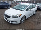 KIA FORTE EX KNAFX4A8XE5050378 снимка