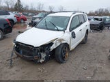 TOYOTA RAV4 JTMBD33V986064097 fotografie
