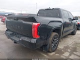 TOYOTA TUNDRA PLATINUM 4WD 5TFNA5DB2RX141457 fotografie