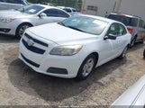 CHEVROLET MALIBU 1FL 1G11A5SA5DF314548 снимка