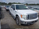 FORD F-150 FX4/HARLEY-DAVIDSON/KING RANCH/LARIAT/PLATINUM/XL/XLT 1FTFW1EV5AFC03029 photo