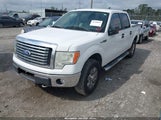 FORD F-150 FX4/HARLEY-DAVIDSON/KING RANCH/LARIAT/PLATINUM/XL/XLT 1FTFW1EV5AFC03029 fotografie