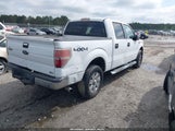 FORD F-150 FX4/HARLEY-DAVIDSON/KING RANCH/LARIAT/PLATINUM/XL/XLT 1FTFW1EV5AFC03029 снимка