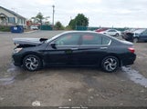 HONDA ACCORD LX 1HGCR2F3XHA013166 снимка