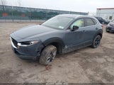 MAZDA CX-30 2.5 S CARBON EDITION 3MVDMBCM2RM618042 снимка