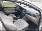 HYUNDAI SONATA SPORT 5NPE34AFXFH041898 photo