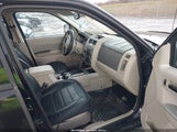 FORD ESCAPE XLT 1FMCU9D71BKB11351 fotografie
