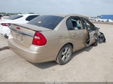 CHEVROLET MALIBU LS 1G1ZT54805F208016 photo
