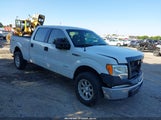 FORD F-150 XL 1FTFW1ET9EFB85445 снимка