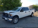 FORD F-150 XL 1FTFW1ET9EFB85445 снимка